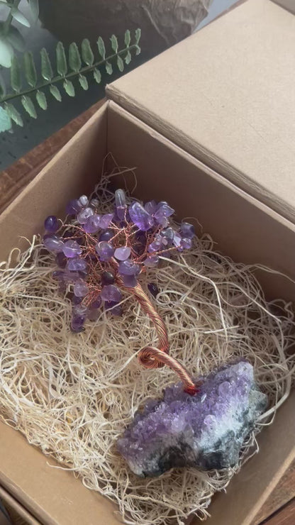 Coffret cadeau - Arbre en cristal naturel - SÉRÉNITÉ VIOLETTE - Améthyste - PAIX